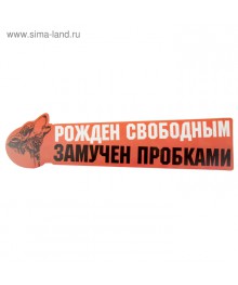 Наклейка на авто "Рожден свободным" (863320) Новокузнецк, Горно-Алтайск. Низкие цены, большой ассортимент. Автоаксессуары оптом по низкой цене.