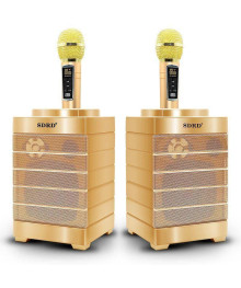 Караоке система SD-128 Золото (20Вт, BT/USB/TF, аккум, 2 беспр микр)ада. Большой каталог микрофонов для караоке RITMIX, Defender оптом с доставкой по Дальнему Востоку.