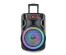 Активная напольная акустика Blackton Bt PBS2113 Черный (40Вт, BT/USB/FM/TF/MIC-6.3мм, акк, ду)Колонки  Орбита, Дефендер  оптом
