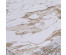 Клеенка GRACE RJ83159-2 Эффект мягкой кожи, ткань с ПВХ 330г/м2 1,37(+-3)х20м